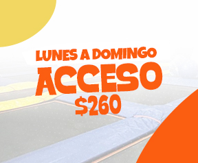 Acceso Lunes a domingo