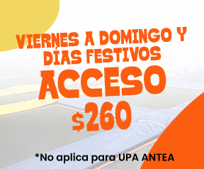 Acceso UPA Viernes a domingo y festivos