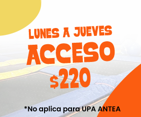 Acceso UPA Lunes a jueves